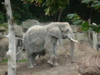 /album/fotogalerie/a409-jpg/