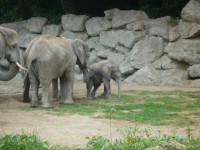 /album/fotogalerie/a411-jpg/